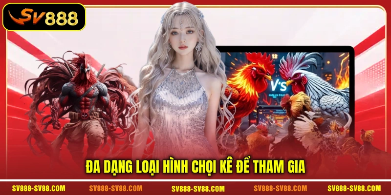 Đa dạng loại hình chọi kê để tham gia 
