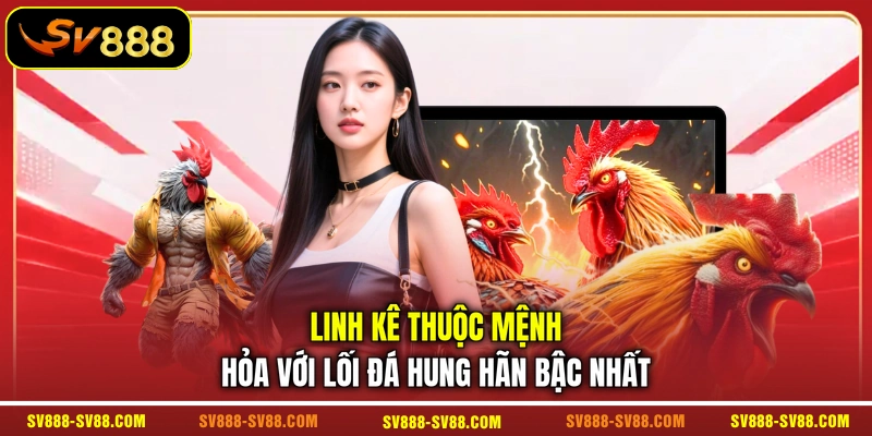 Linh kê thuộc mệnh Hỏa với lối đá hung hãn bậc nhất