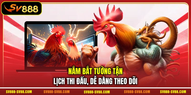 Nắm bắt tường tận lịch thi đấu, dễ dàng theo dõi