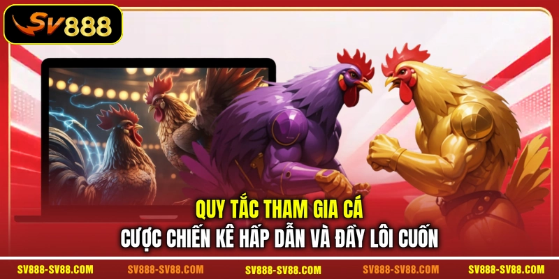 Quy tắc tham gia cá cược chiến kê hấp dẫn và đầy lôi cuốn
