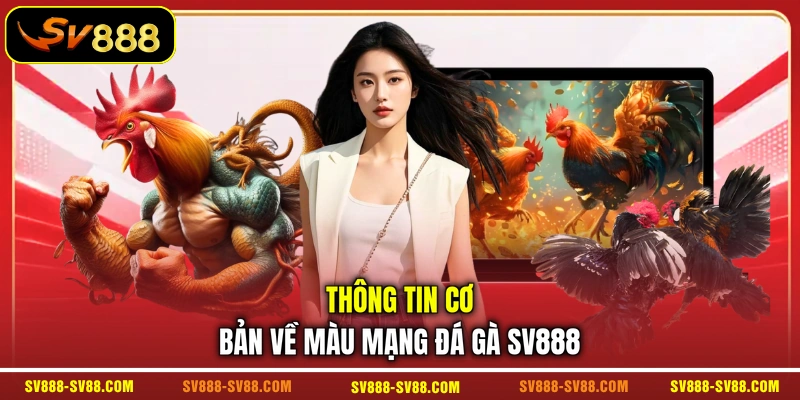 Thông tin cơ bản về màu mạng đá gà SV888