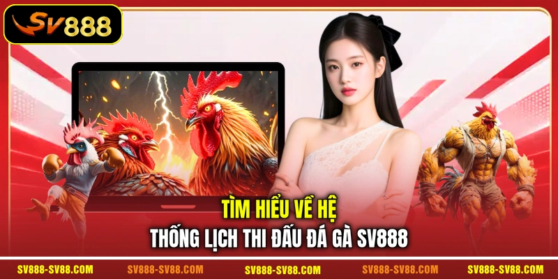 Tìm hiểu về hệ thống lịch thi đấu đá gà SV888