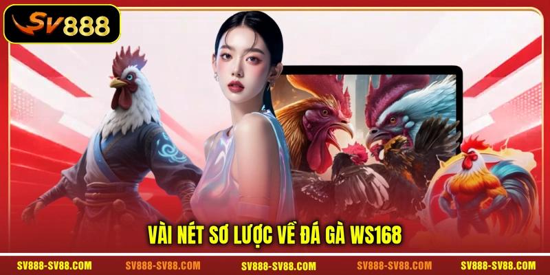 Vài nét sơ lược về đá gà WS168